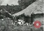 Image of Brazilian worker housing at Fordlandia Brazil, 1932, second 35 stock footage video 65675064736