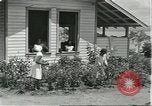 Image of Brazilian worker housing at Fordlandia Brazil, 1932, second 60 stock footage video 65675064736