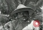 Image of Brazilian natives Brazil, 1931, second 62 stock footage video 65675064737