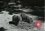 Image of fine houses and gardens in Brazil Brazil, 1931, second 32 stock footage video 65675064741
