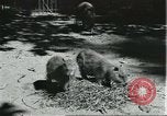 Image of fine houses and gardens in Brazil Brazil, 1931, second 36 stock footage video 65675064741
