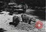 Image of fine houses and gardens in Brazil Brazil, 1931, second 38 stock footage video 65675064741