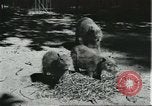 Image of fine houses and gardens in Brazil Brazil, 1931, second 39 stock footage video 65675064741