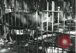 Image of fine houses and gardens in Brazil Brazil, 1931, second 51 stock footage video 65675064741
