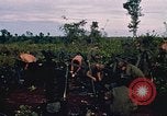 Image of 9th Infantry Division Cambodia, 1970, second 11 stock footage video 65675064744