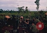 Image of 9th Infantry Division Cambodia, 1970, second 12 stock footage video 65675064744