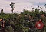 Image of 9th Infantry Division Cambodia, 1970, second 23 stock footage video 65675064744