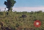 Image of 9th Infantry Division Cambodia, 1970, second 20 stock footage video 65675064745