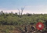 Image of 9th Infantry Division Cambodia, 1970, second 30 stock footage video 65675064745