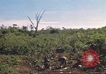 Image of 9th Infantry Division Cambodia, 1970, second 31 stock footage video 65675064745