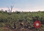 Image of 9th Infantry Division Cambodia, 1970, second 32 stock footage video 65675064745