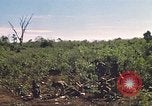 Image of 9th Infantry Division Cambodia, 1970, second 33 stock footage video 65675064745
