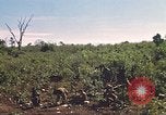 Image of 9th Infantry Division Cambodia, 1970, second 34 stock footage video 65675064745