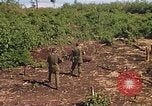 Image of 9th Infantry Division Cambodia, 1970, second 41 stock footage video 65675064745