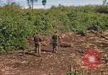 Image of 9th Infantry Division Cambodia, 1970, second 43 stock footage video 65675064745