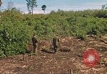 Image of 9th Infantry Division Cambodia, 1970, second 45 stock footage video 65675064745