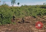 Image of 9th Infantry Division Cambodia, 1970, second 46 stock footage video 65675064745