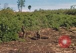 Image of 9th Infantry Division Cambodia, 1970, second 48 stock footage video 65675064745