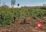 Image of 9th Infantry Division Cambodia, 1970, second 49 stock footage video 65675064745