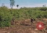 Image of 9th Infantry Division Cambodia, 1970, second 51 stock footage video 65675064745