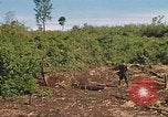 Image of 9th Infantry Division Cambodia, 1970, second 52 stock footage video 65675064745