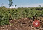 Image of 9th Infantry Division Cambodia, 1970, second 53 stock footage video 65675064745