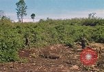 Image of 9th Infantry Division Cambodia, 1970, second 56 stock footage video 65675064745