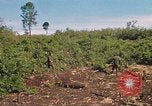 Image of 9th Infantry Division Cambodia, 1970, second 58 stock footage video 65675064745