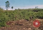 Image of 9th Infantry Division Cambodia, 1970, second 59 stock footage video 65675064745