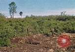 Image of 9th Infantry Division Cambodia, 1970, second 60 stock footage video 65675064745