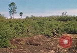 Image of 9th Infantry Division Cambodia, 1970, second 61 stock footage video 65675064745
