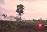 Image of 9th Infantry Division Cambodia, 1970, second 31 stock footage video 65675064748