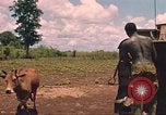 Image of 9th Infantry Division Cambodia, 1970, second 3 stock footage video 65675064749