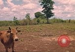 Image of 9th Infantry Division Cambodia, 1970, second 7 stock footage video 65675064749