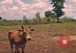 Image of 9th Infantry Division Cambodia, 1970, second 8 stock footage video 65675064749