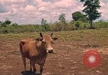 Image of 9th Infantry Division Cambodia, 1970, second 9 stock footage video 65675064749