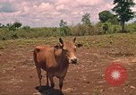 Image of 9th Infantry Division Cambodia, 1970, second 10 stock footage video 65675064749