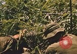 Image of 9th Infantry Division Cambodia, 1970, second 44 stock footage video 65675064749