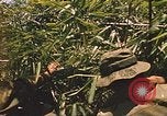 Image of 9th Infantry Division Cambodia, 1970, second 45 stock footage video 65675064749