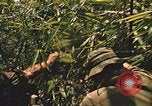 Image of 9th Infantry Division Cambodia, 1970, second 46 stock footage video 65675064749