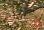 Image of 9th Infantry Division Cambodia, 1970, second 9 stock footage video 65675064753