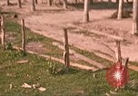 Image of 9th Infantry Division Cambodia, 1970, second 19 stock footage video 65675064753