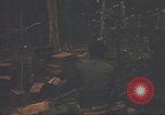 Image of 9th Infantry Division Cambodia, 1970, second 20 stock footage video 65675064756