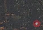 Image of 9th Infantry Division Cambodia, 1970, second 21 stock footage video 65675064756