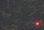 Image of 9th Infantry Division Cambodia, 1970, second 24 stock footage video 65675064756