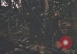 Image of 9th Infantry Division Cambodia, 1970, second 25 stock footage video 65675064756