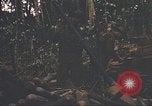 Image of 9th Infantry Division Cambodia, 1970, second 27 stock footage video 65675064756
