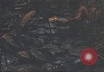 Image of 9th Infantry Division Cambodia, 1970, second 34 stock footage video 65675064756