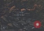 Image of 9th Infantry Division Cambodia, 1970, second 35 stock footage video 65675064756