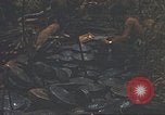 Image of 9th Infantry Division Cambodia, 1970, second 36 stock footage video 65675064756